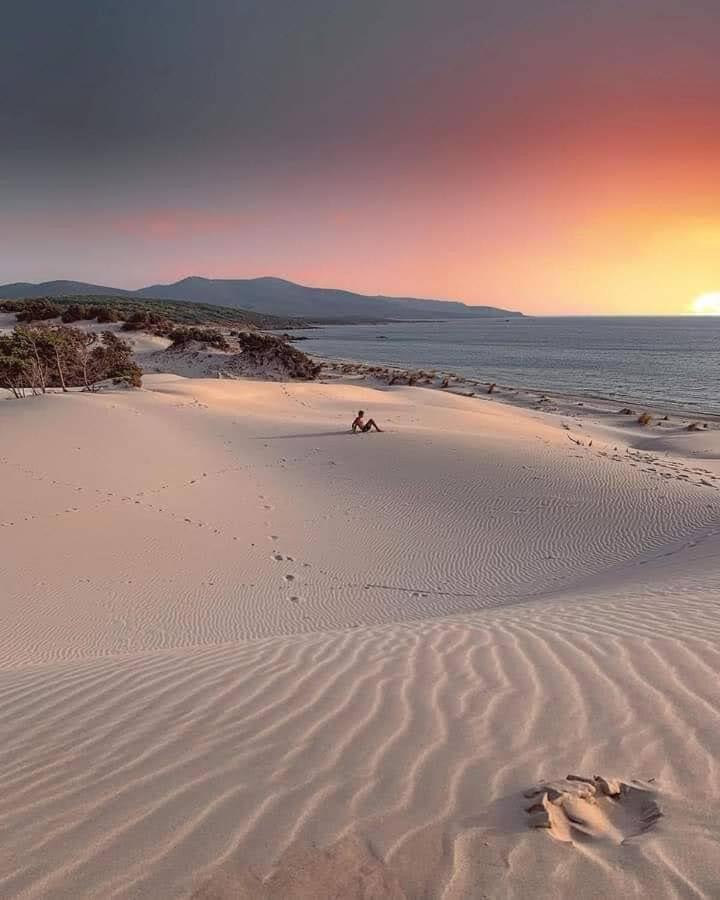 Case Vacanze Il Sogno 2 Порто-Пино Номер фото